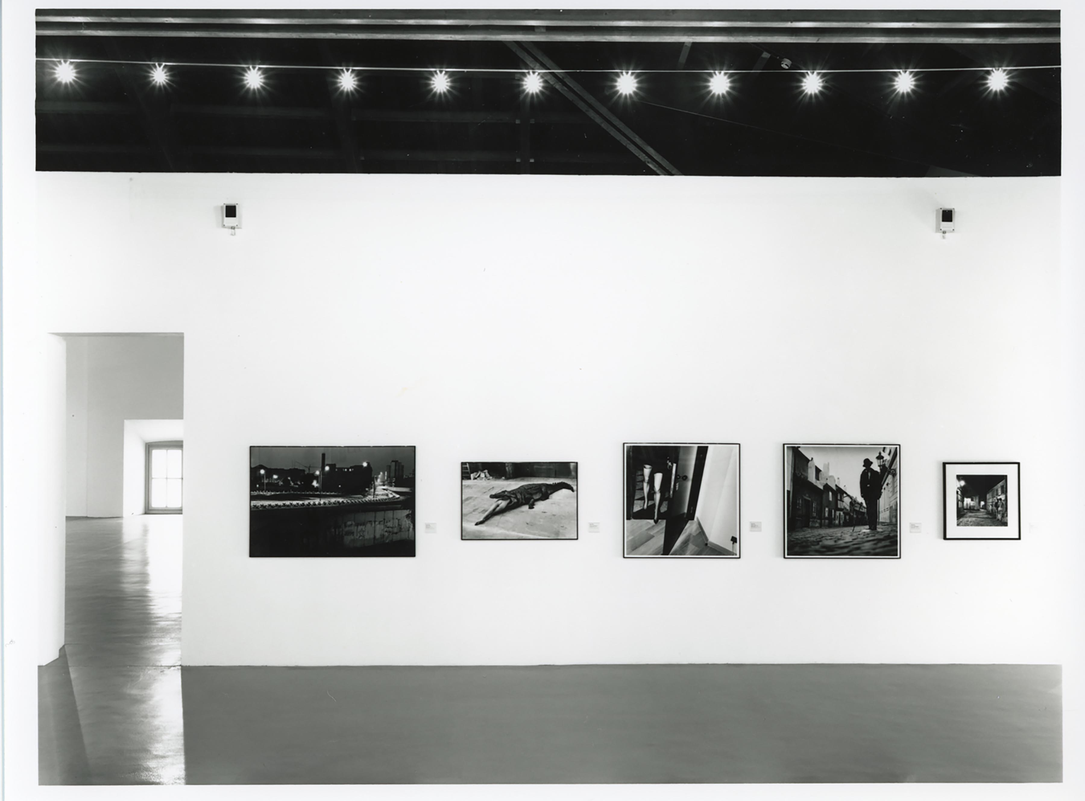 u0022Helmut Newtonu0022, installation view
